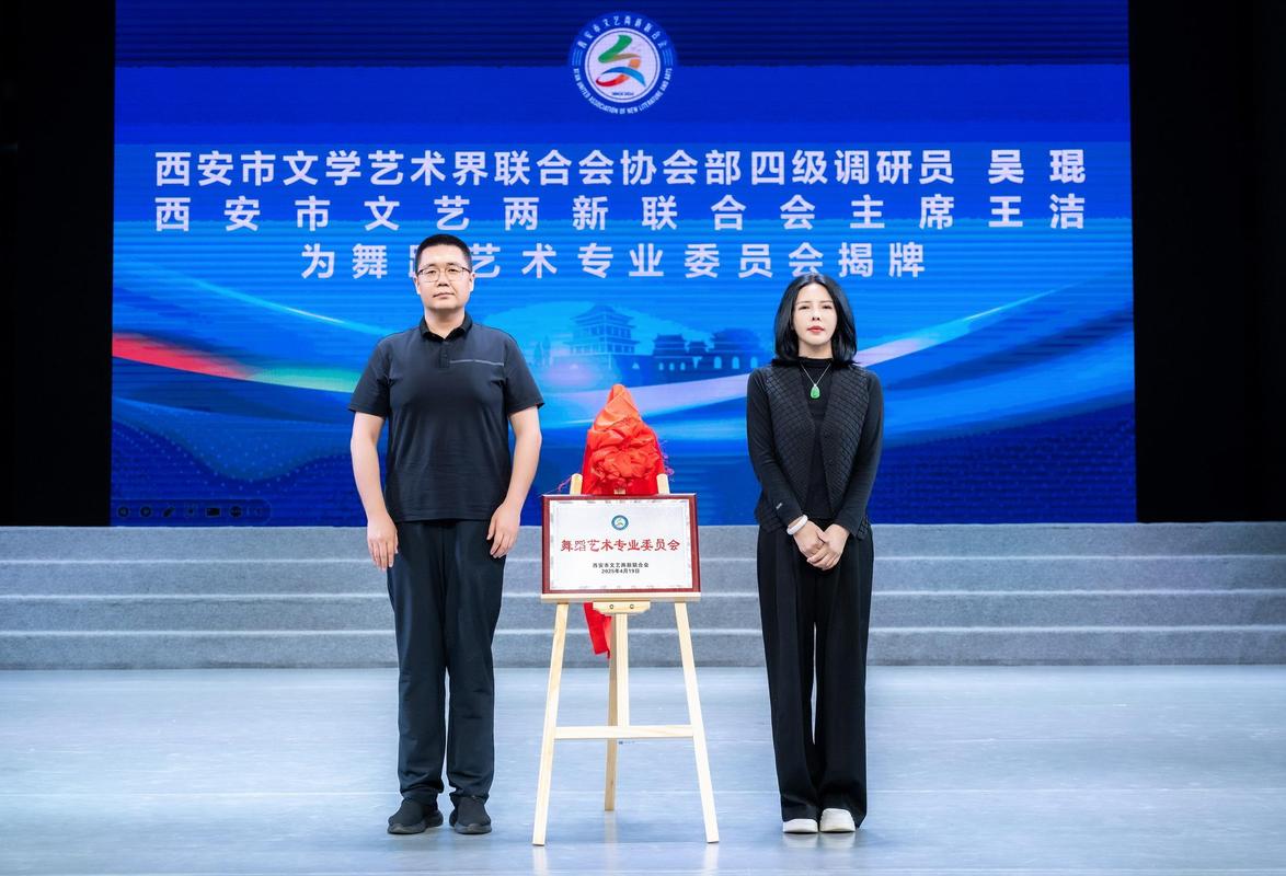 近年来,西安市舞蹈表演和创作的群体逐年增多,舞蹈工作室,独立舞者不